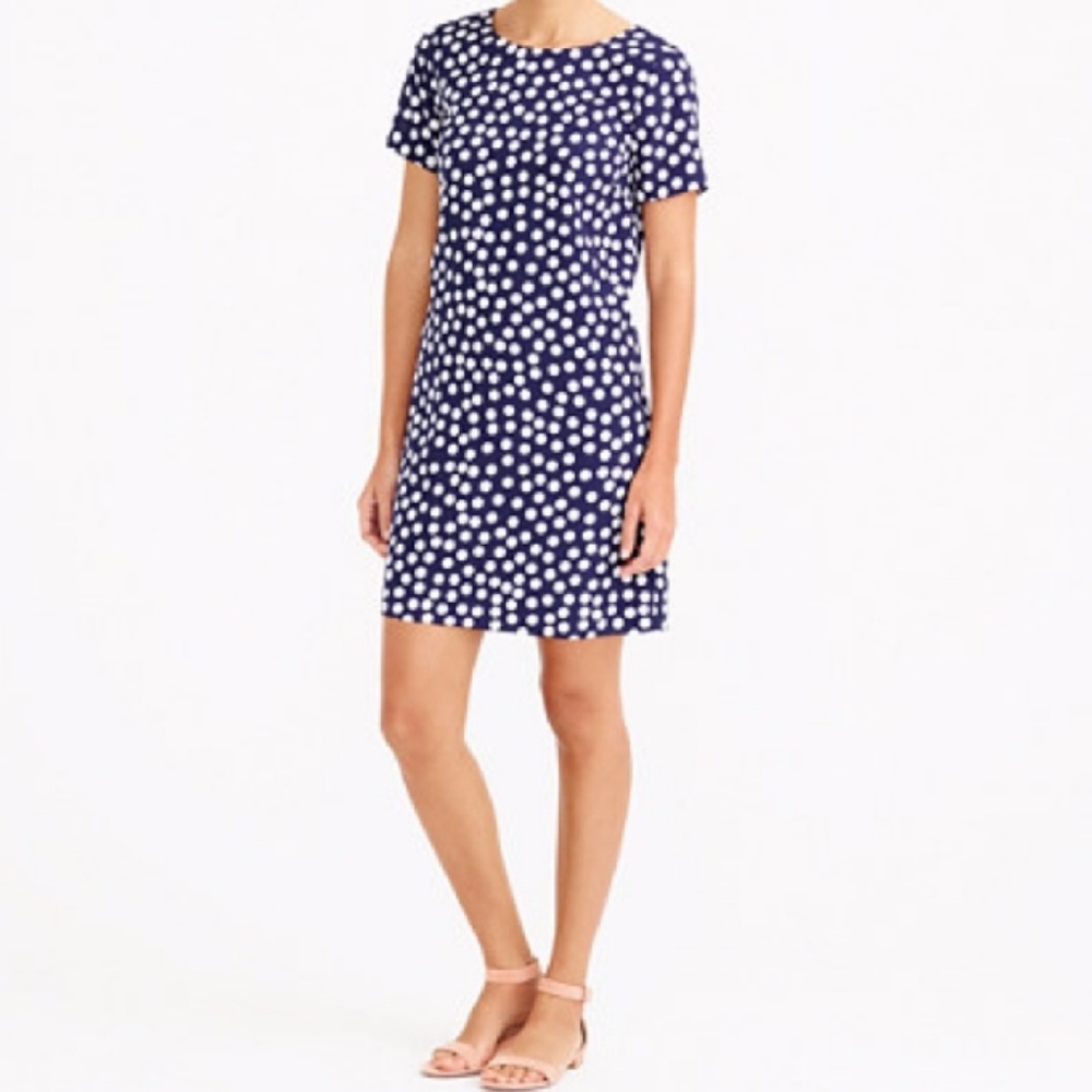 J. Crew Polka Dot Short Sleeve Gallery Dress